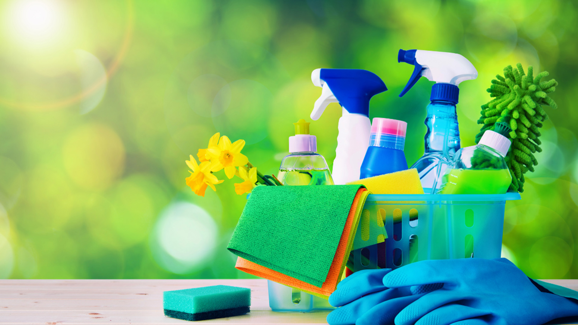 Cleaning Service
